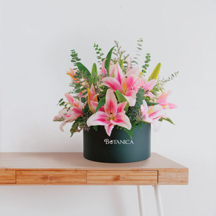 Pink Stargazer Box