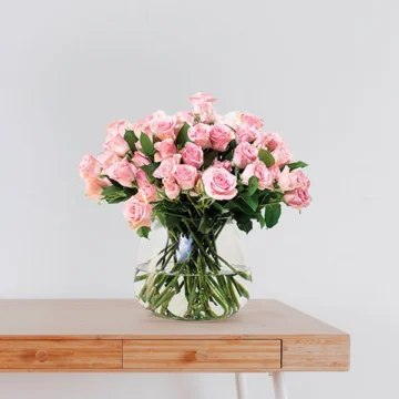 Pink Baby Roses