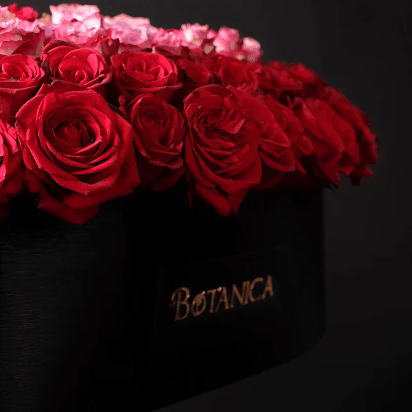 luxury bouquet of flowers
