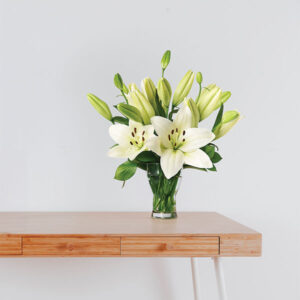 Pure White lilies