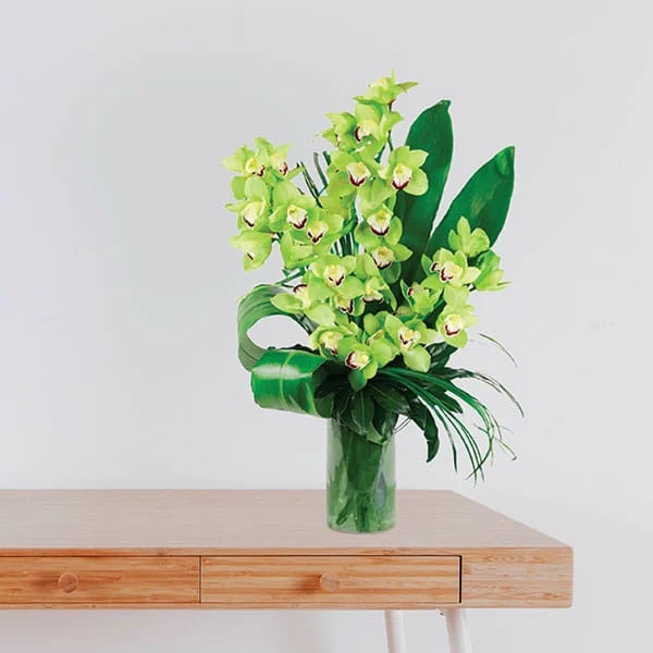 14 Orchid