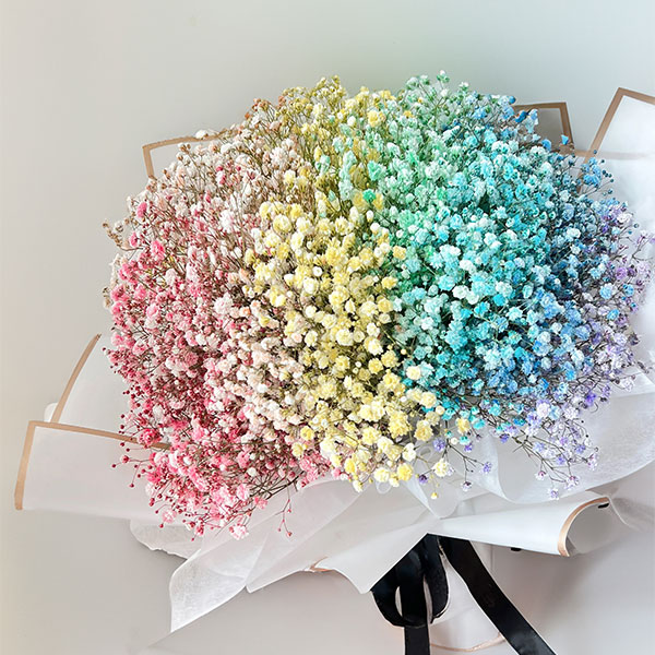 Blue Yellow and Pink Gypsophila