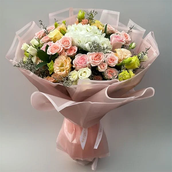 Colorful Blooms