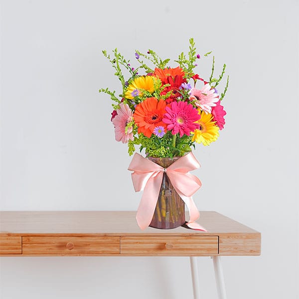 2 Colorful Gerbera