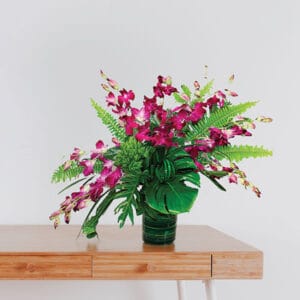 Fuchsia Orchid