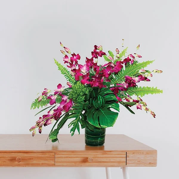 Fuchsia Orchid