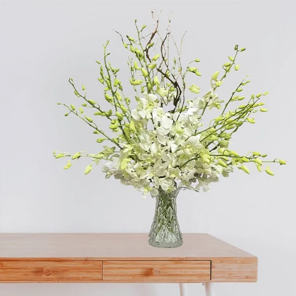 White Dendrobium