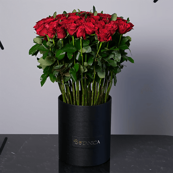 red roses