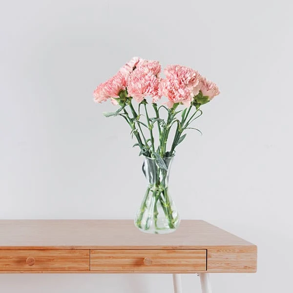 37 Pink Carnation