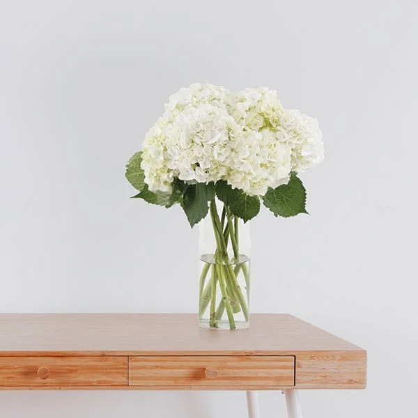 39 White Hydrangea Bouquet