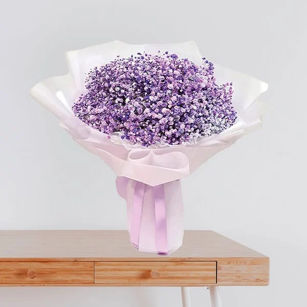 Purple Gypsophila