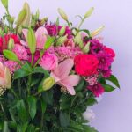 Wild Eleganc for Sale