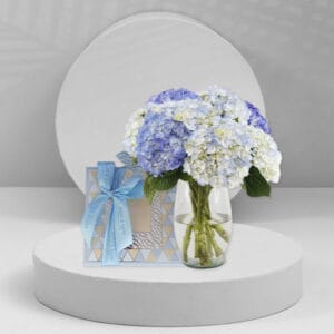 White and Light Blue Hydrangea Bundle
