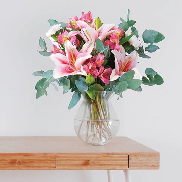 6 Stargazer Lily