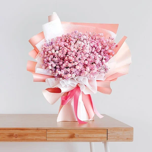 Pink Gypsophila