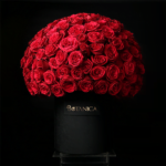 Forever My Valentine