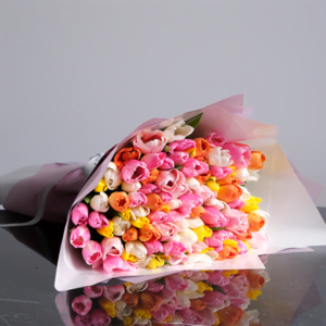 Enchanting Colorful Tulips