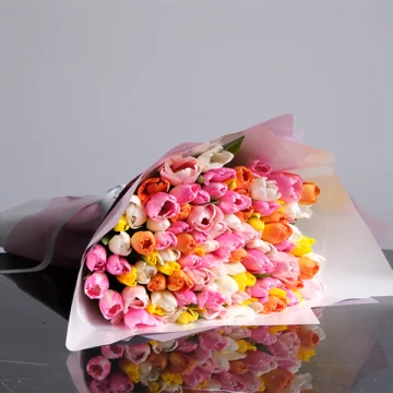 Enchanting Colorful Tulips